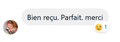 Bien reçu. Parfait. merci
